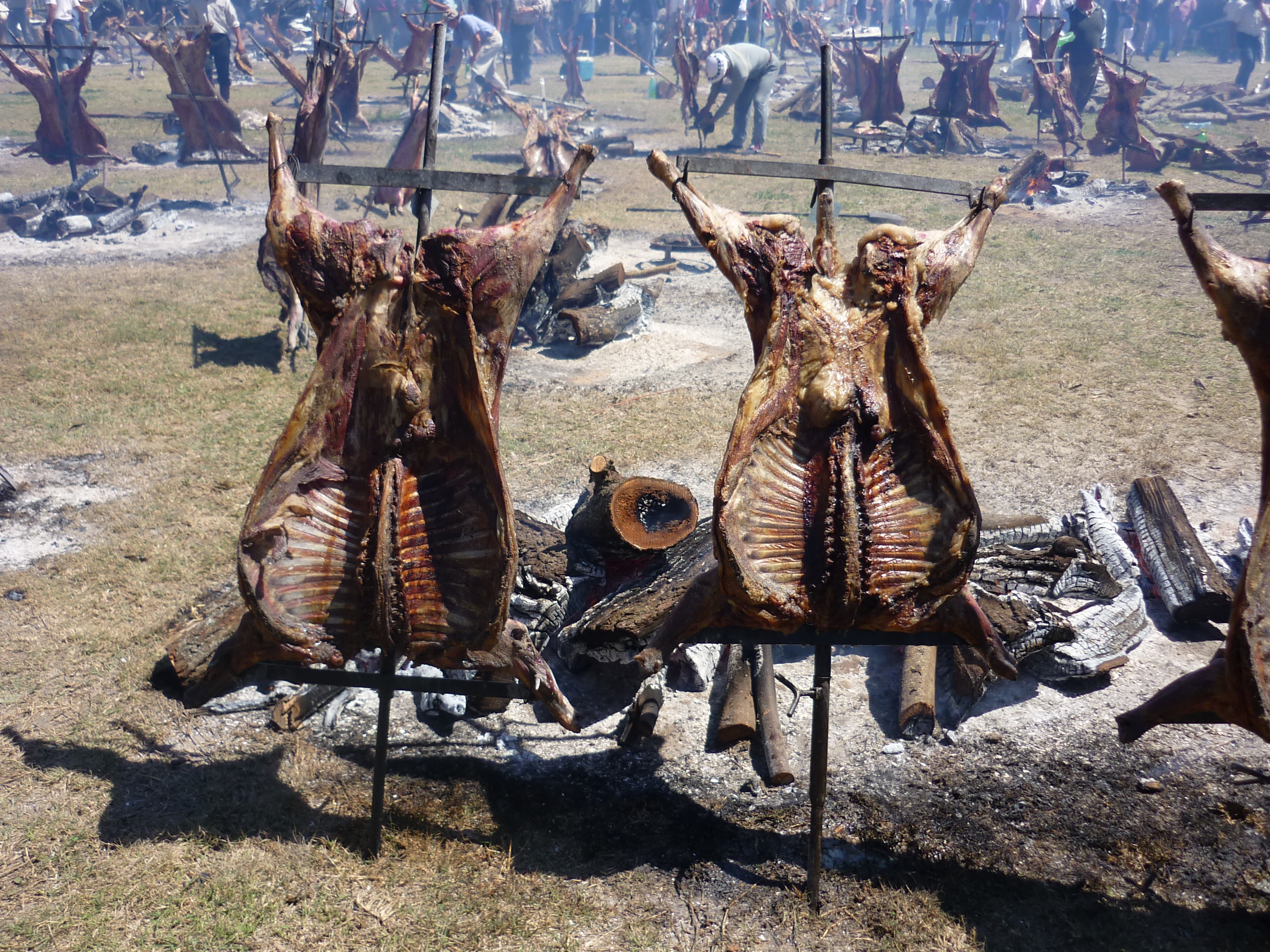 fotos/2009-10-11 - Fiesta del Cordero/P1000408.JPG